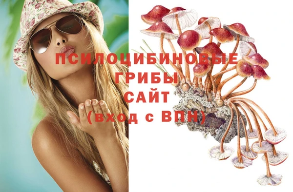 мет Михайловск