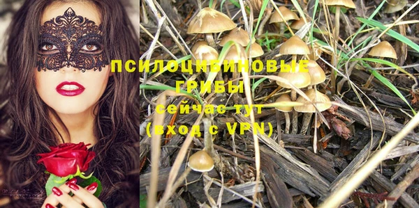 винт Наволоки