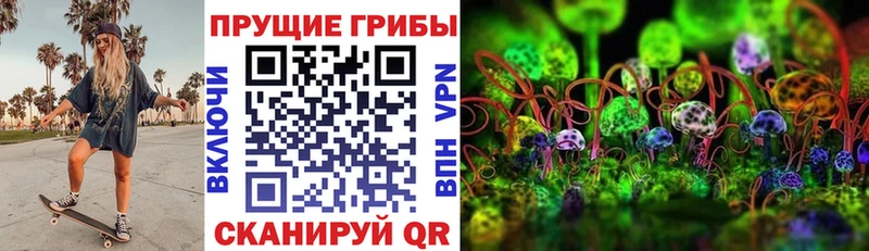 Галлюциногенные грибы Psilocybe  где купить   Невинномысск 